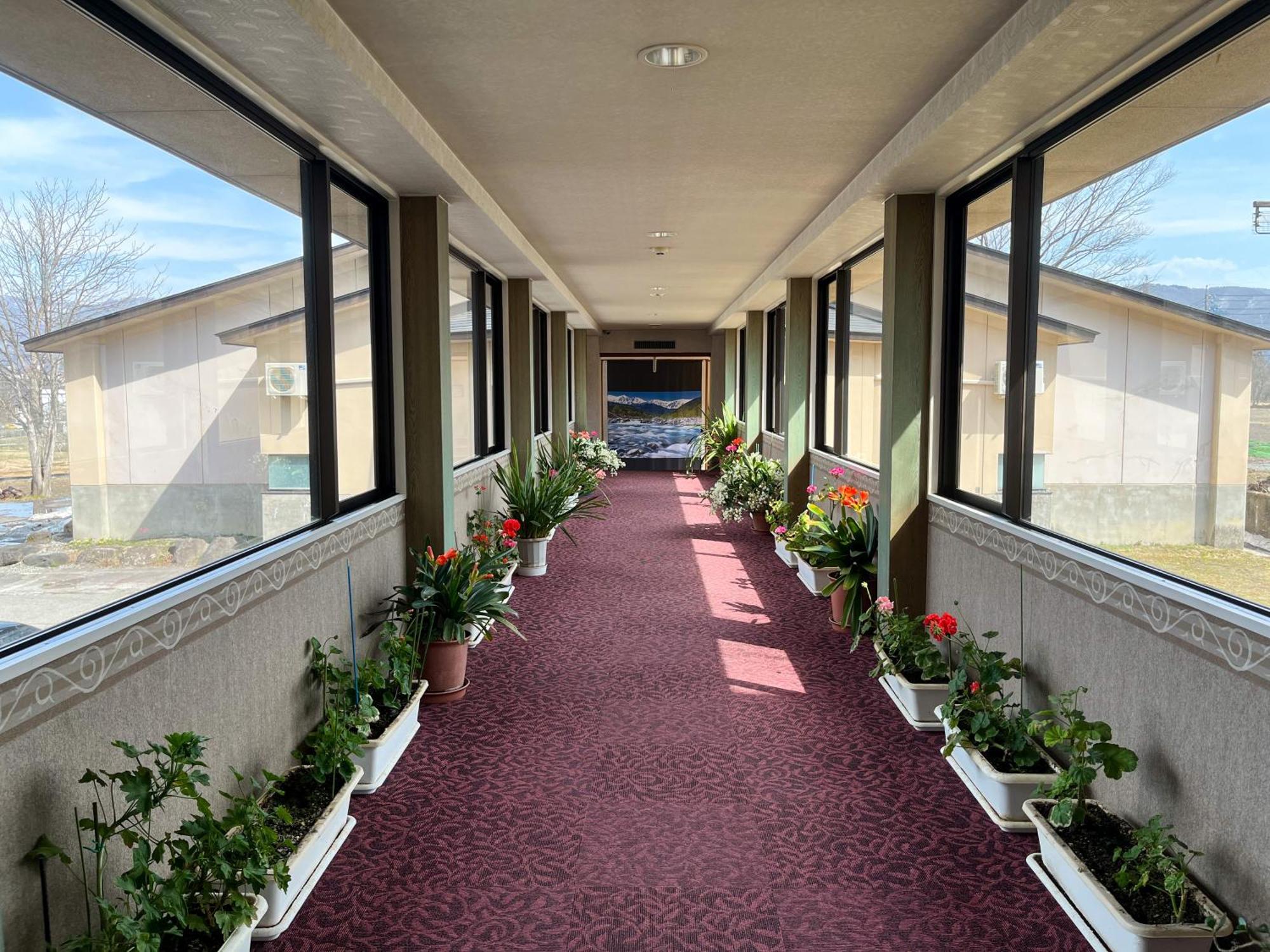 Hotel Goryukan Hakuba Bagian luar foto